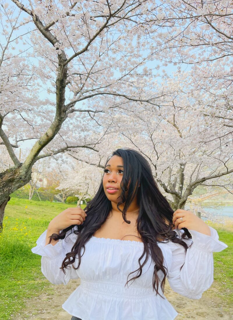 Cherry Blossom Viewing at Kintai Bridge